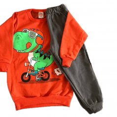 Conjunto de Moletom Pelúciado Dinossauro