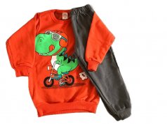 Conjunto de Moletom Pelúciado Dinossauro